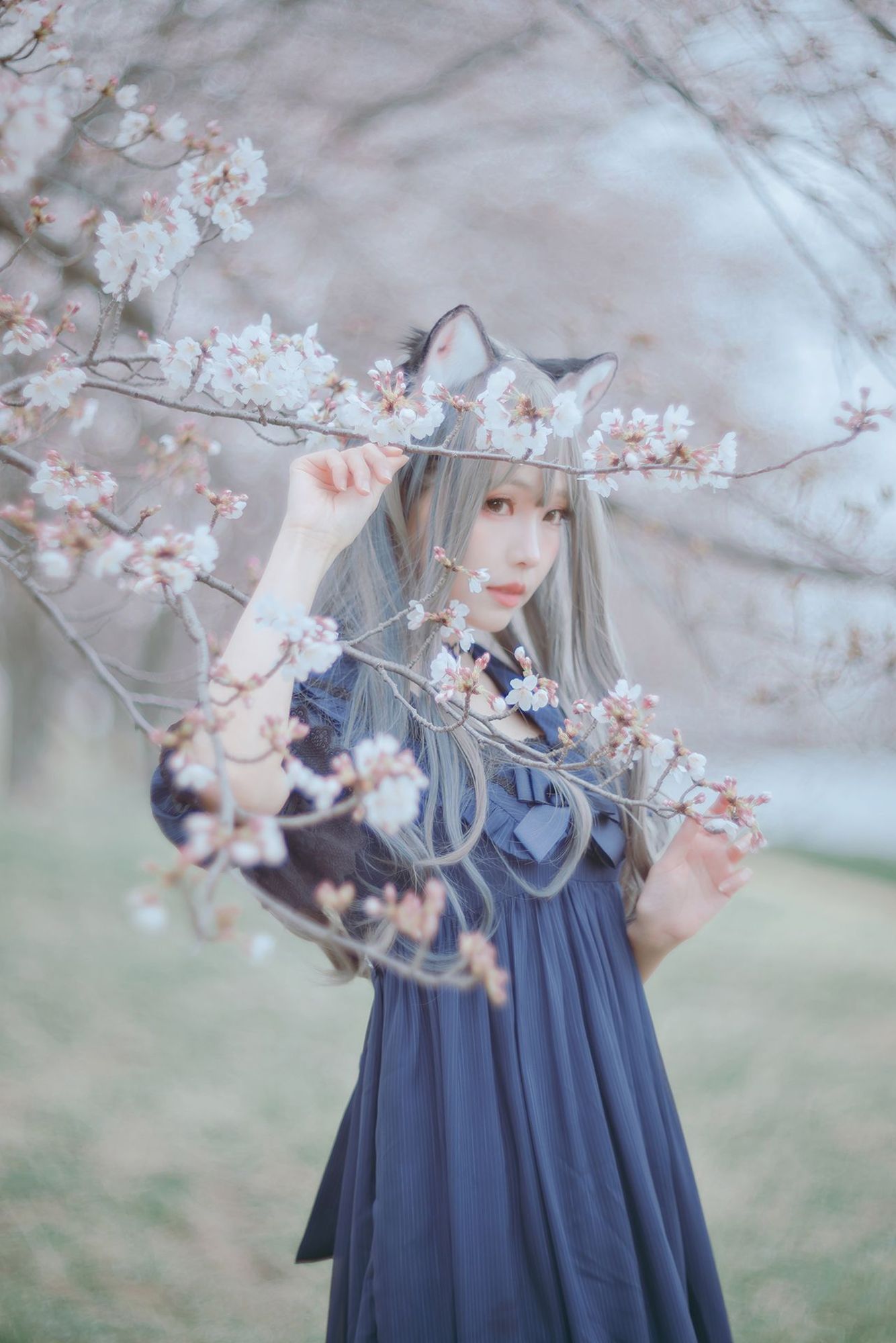 No.043-Sakura桜 2021 – 01.BLUE [22P]-cos王者